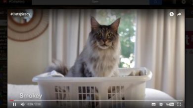 self-cleaning litter tray