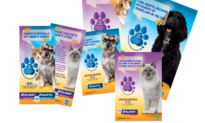 Adaptil and Feliway launch ‘Pet Anxiety Month’ in March | Post