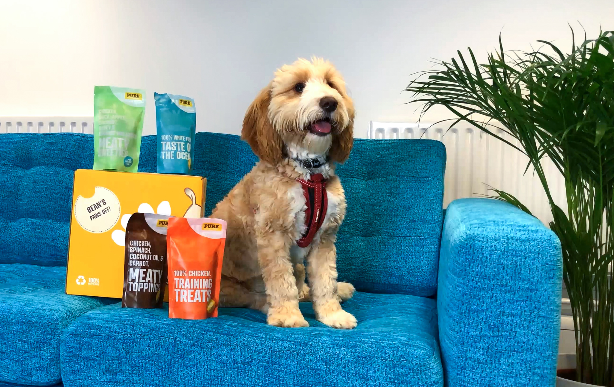 Pure Pet Food expands offering | Post 