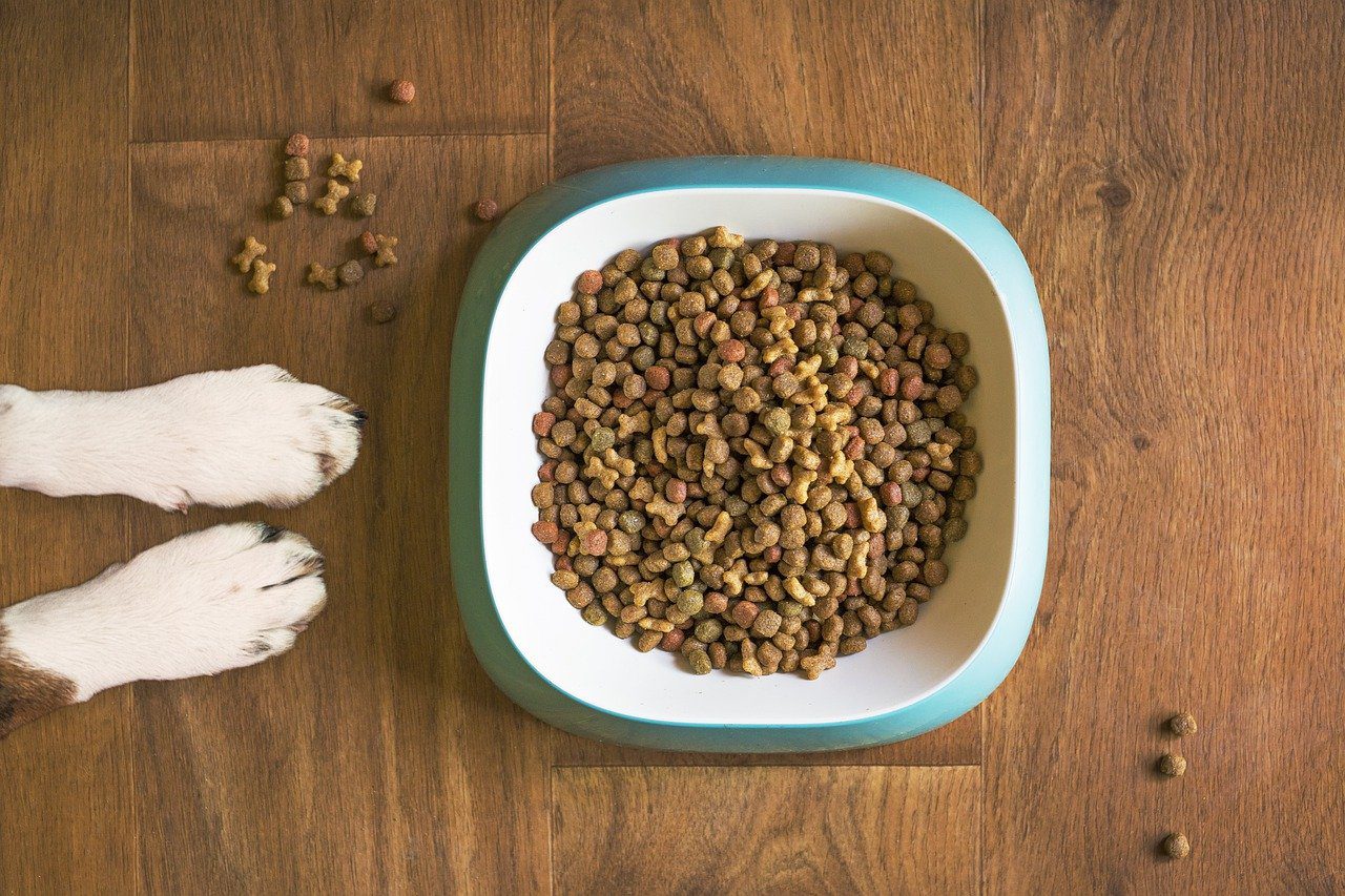 VetChef Launches Free Online Pet Recipe And Menu Planner Post   Dog Food 5168940 1280 