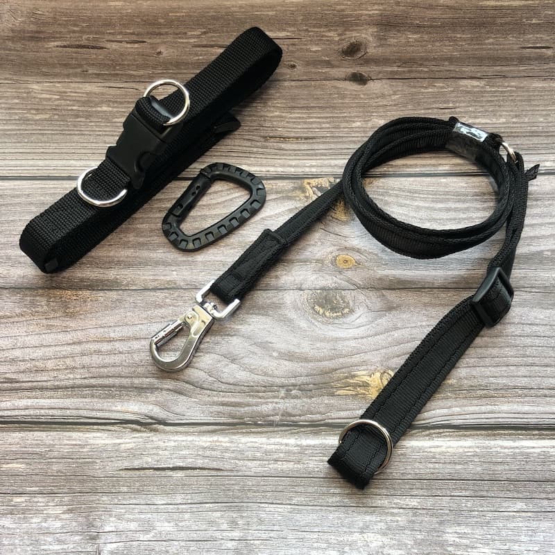 meg heath dog leads