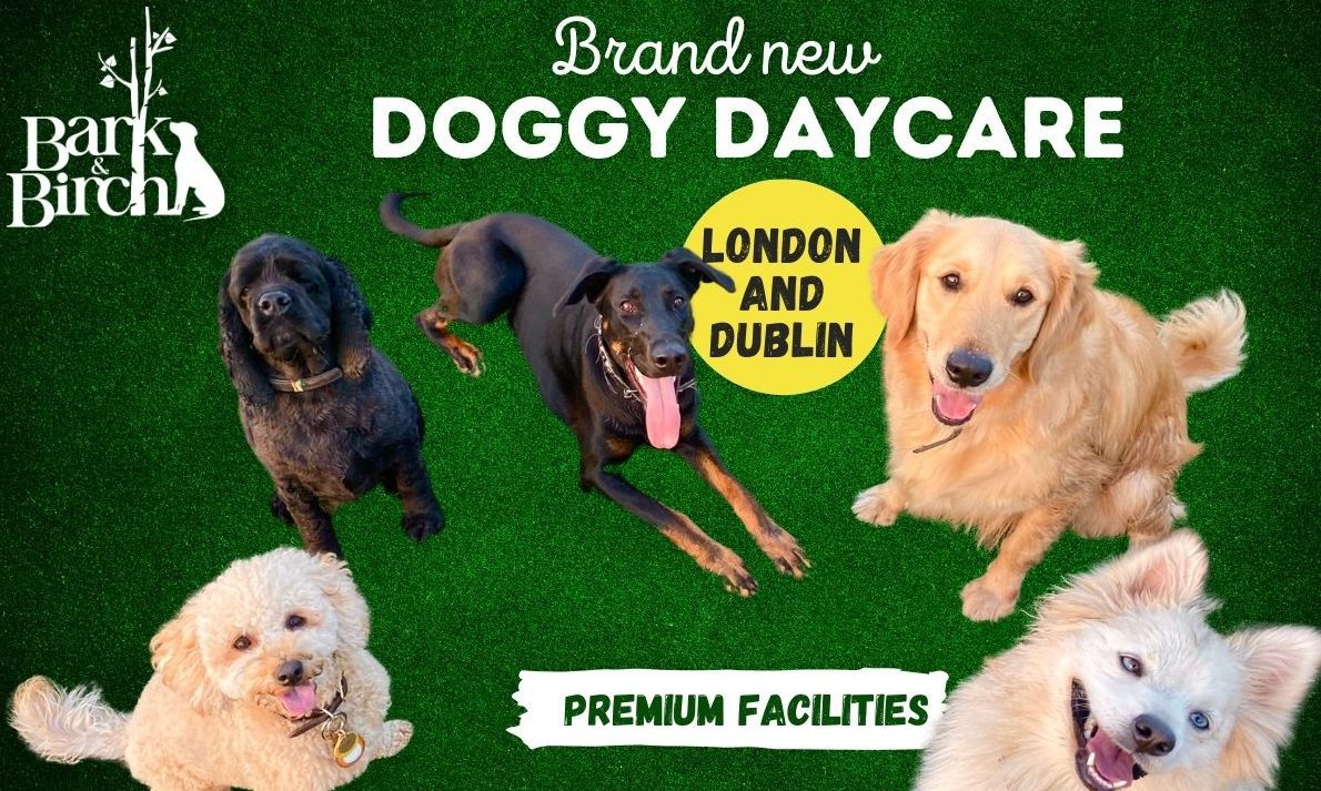 bark-birch-to-expand-doggy-daycare-in-london-and-dublin-post