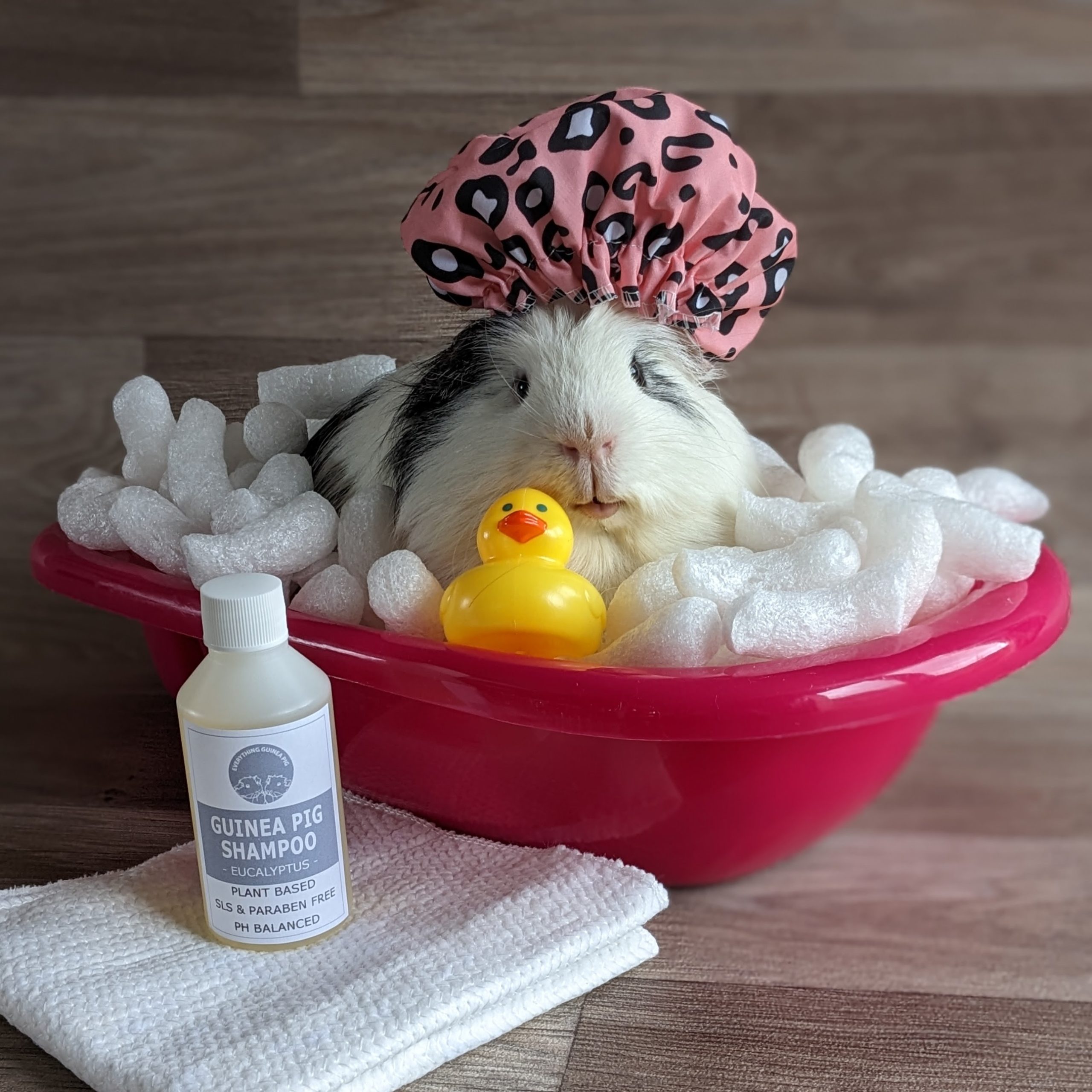 Guinea pig deals shampoo